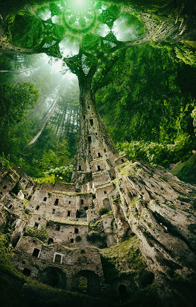 The Lost Civilization Tree