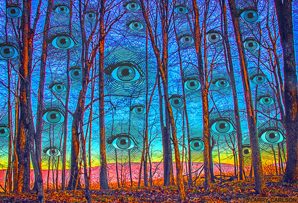 Woods Has Eyes - psychedelic art