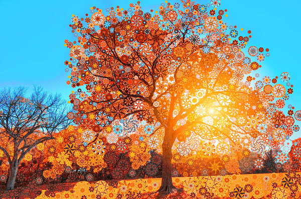 Autumn Sun Tree