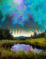 Wonderland Pond - Framed Art Print