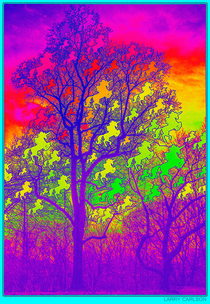 Rainbow Universe Unicorn Tree - psychedelic art