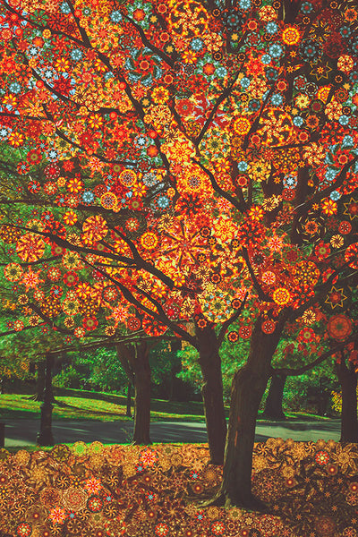 Autumn Star Tree - psychedelic art