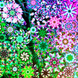 Rainbow Star Tree - psychedelic art