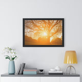 Morning Star Tree - Framed Art Print