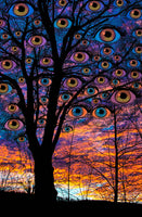 Sunset Eyes - psychedelic art