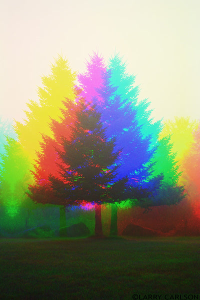 Dream Tree - psychedelic art