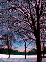Winter Eyes - psychedelic art