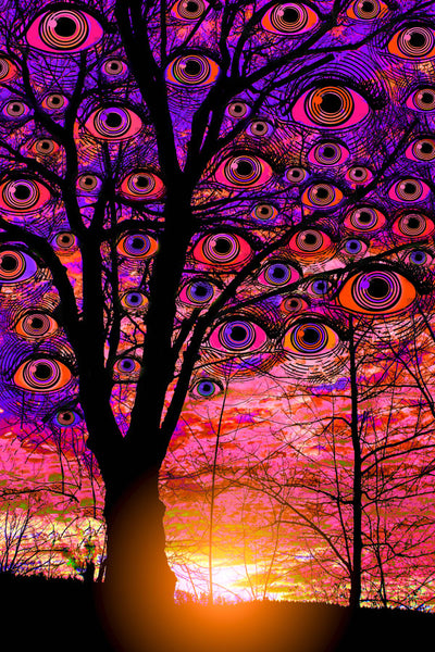 Purple Sunset Eyes