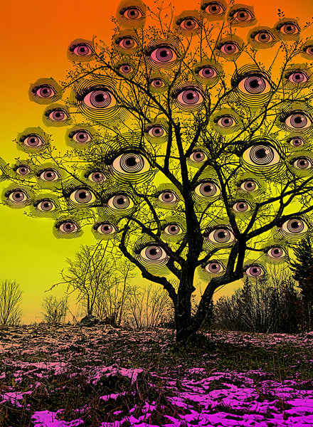 Golden Dawn Eye Tree