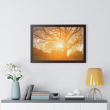 Morning Star Tree - Framed Art Print