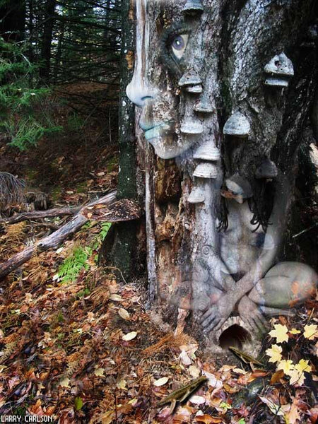 Deep Woods - psychedelic art
