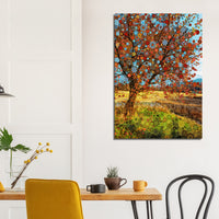 Apple Star Tree - Canvas