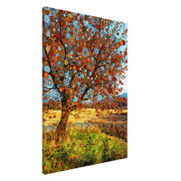 Apple Star Tree - Canvas