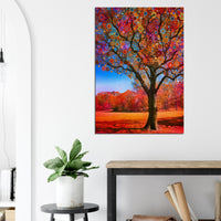 Starry Orange Tree - Canvas