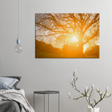 Morning Star Tree - Canvas